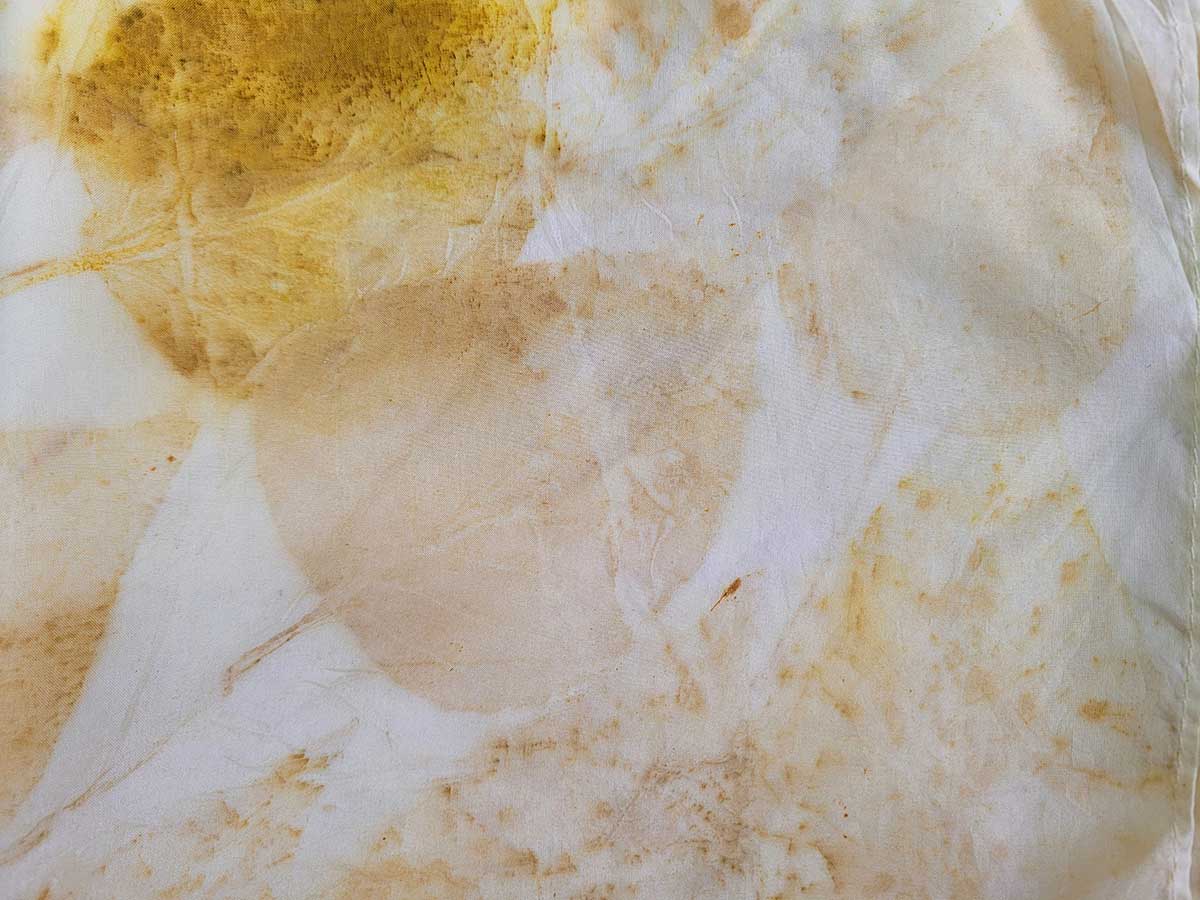 Eco Printing